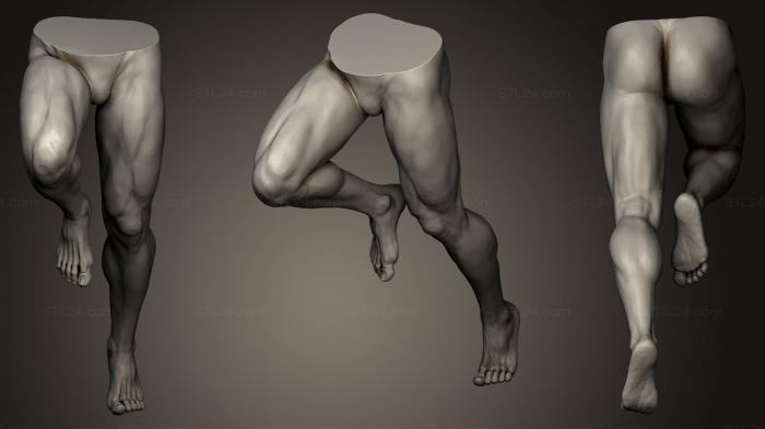 Anatomy of skeletons and skulls (Male Legs 3, ANTM_0163) 3D models for cnc